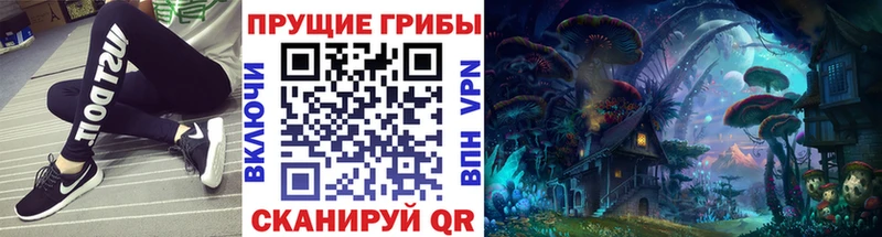 Галлюциногенные грибы Psilocybine cubensis  OMG зеркало  Арамиль 